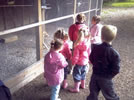 Wrexham Holiday Kids Club - Farm Walk