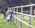 Click to enlarge Wrexham Holiday Kids Club - Farm Walk