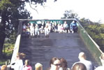 Click to enlarge Wrexham Holiday Kids Club - Farm Walk